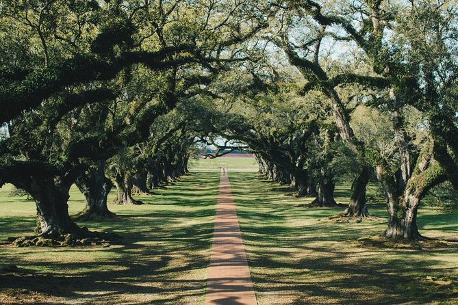 Oak Alley Plantation and Small Airboat Tour from New Orleans - Barataria Preserve airboat: speed, seats, and the real alligator odds