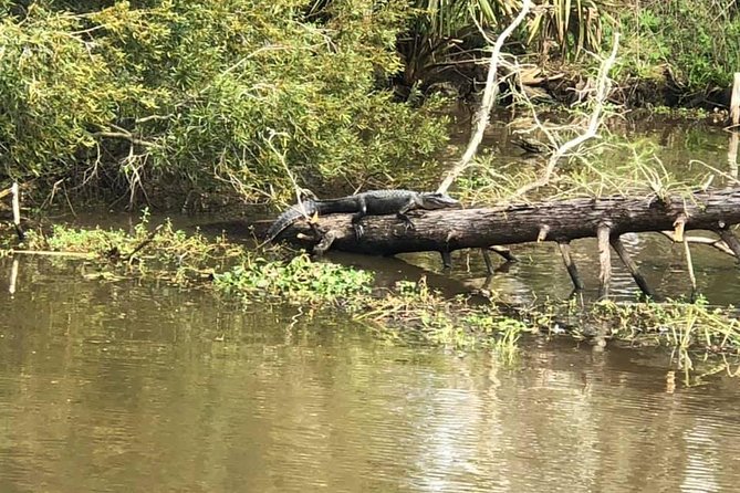 Oak Alley Plantation and Small Airboat Tour from New Orleans - Timing and pacing: why the day feels full