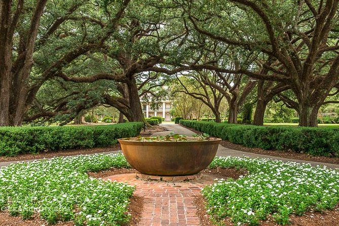 Oak Alley Plantation Half-Day Tour from New Orleans - The Bus, the Driver, and What “Half-Day” Really Means