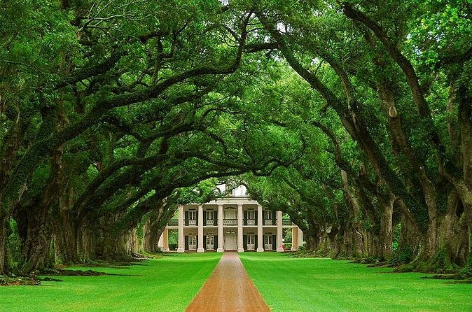 Oak Alley Plantation Half-Day Tour from New Orleans - Lunch on Your Own: Simple Food Planning for a Tight Schedule