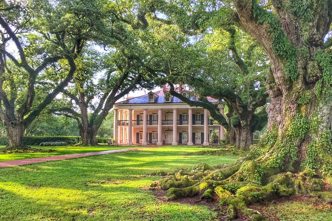Oak Alley Plantation Tour with Transportation from New Orleans - Oak Alley’s Famous Oak Canopy: Your First Real View