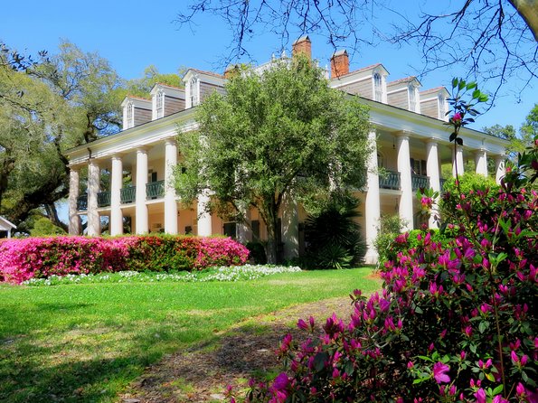 Oak Alley Plantation Tour with Transportation from New Orleans - Independent Ground Time: Café Stops and Shopping Breaks