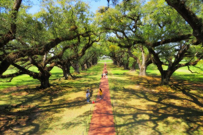 Oak Alley Plantation Tour with Transportation from New Orleans - Optional 90-Minute Swamp Tour: Pontoon Ride in the Bayou