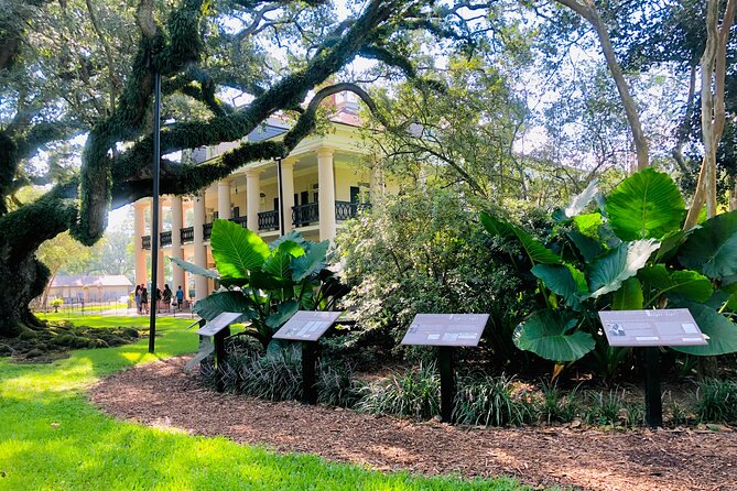Oak Alley Plantation Tour with Transportation from New Orleans - Comfort, Timing, and Photo Planning That Actually Helps