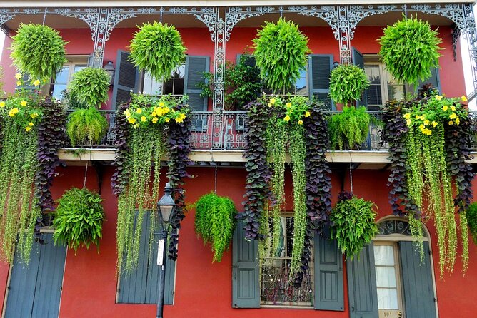 Private New Orleans City Tour with Local Expert Guide - Uptown and Carrollton: universities, streetcar vibes, and Riverbend area views