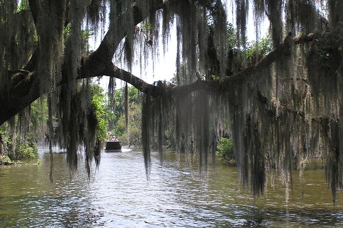 Small-Group Bayou Airboat Ride with Transport from New Orleans - Wildlife expectations: what you can realistically hope to spot