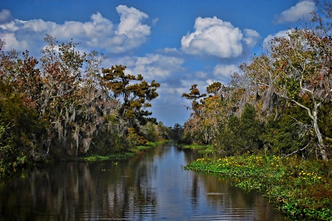 Small-Group Bayou Airboat Ride with Transport from New Orleans - Price and value: is $130 worth it