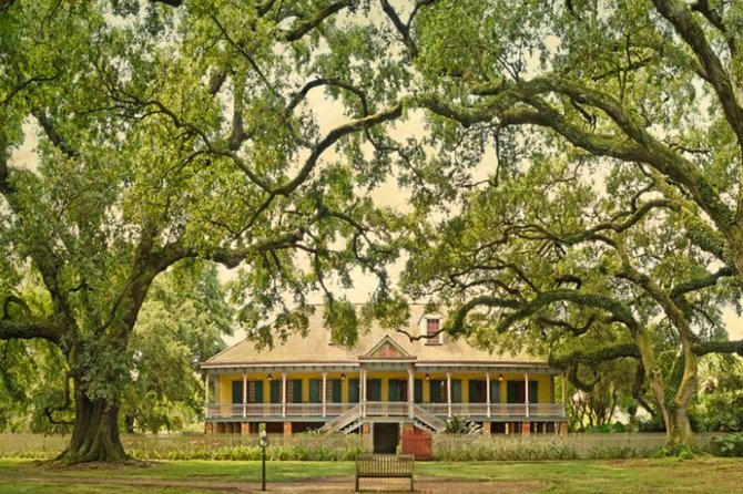 Small-Group Laura and Whitney Plantation Tour from New Orleans - Key highlights worth centering