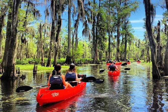 Small-Group Manchac Swamp Kayak Tour - Key things to know before you go