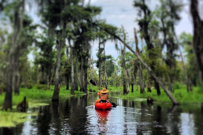Small-Group Manchac Swamp Kayak Tour - Getting from the French Quarter to the launch (and what time it really feels like)
