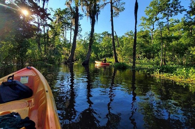 Small-Group Manchac Swamp Kayak Tour - Wildlife spotting without getting stuck in hope mode