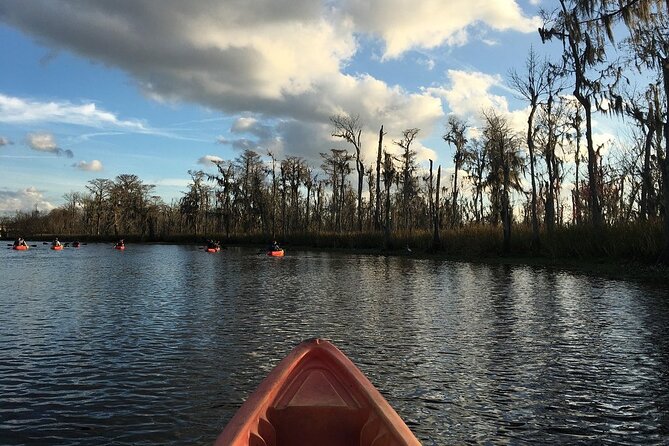 Small-Group Manchac Swamp Kayak Tour - How hard is it, really? Effort level, wind, and keeping pace