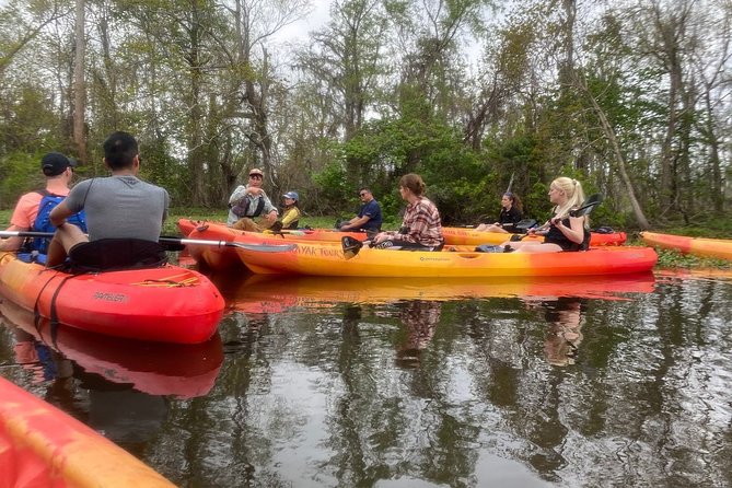 Small-Group Manchac Swamp Kayak Tour - Transportation, meeting point, and making the most of a 2.5-hour paddle