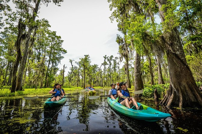 Small-Group Manchac Swamp Kayak Tour with Local Guide - Key Highlights at a Glance