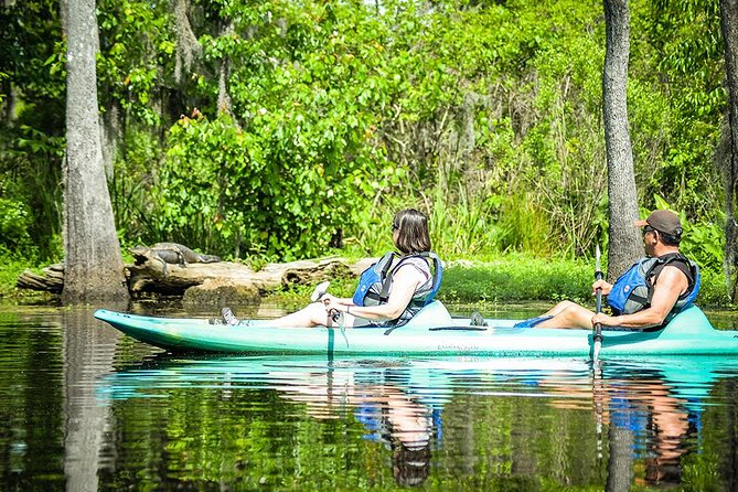 Small-Group Manchac Swamp Kayak Tour with Local Guide - Wild Louisiana Launch: The Briefing That Makes the Paddle Easier