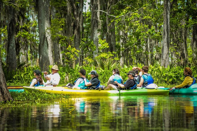 Small-Group Manchac Swamp Kayak Tour with Local Guide - Skill Level: Yes, Beginners Can Do It, With Realistic Expectations