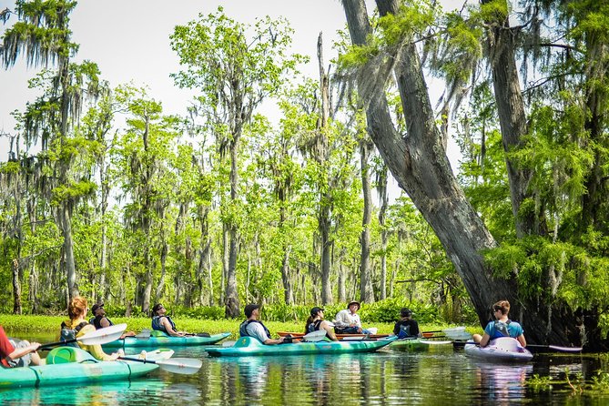 Small-Group Manchac Swamp Kayak Tour with Local Guide - What to Bring: Comfort and Safety for a Wet, Windy Day
