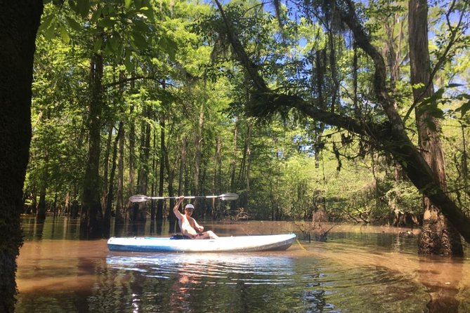 Small-Group Manchac Swamp Kayak Tour - What happens at the start: gear, tandem kayaks, and a paddle lesson that sets you up