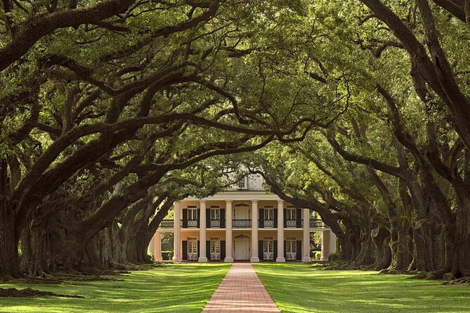 Swamp Boat Ride and Oak Alley Plantation Tour from New Orleans - Oak Alley vs. Destrehan: which plantation slot fits your interests
