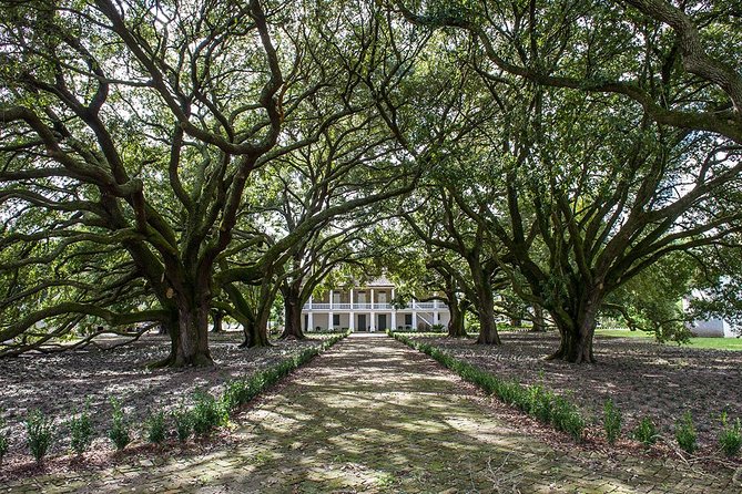 Whitney Plantation Tour with Transportation from New Orleans - The optional 90-minute pontoon swamp tour upgrade